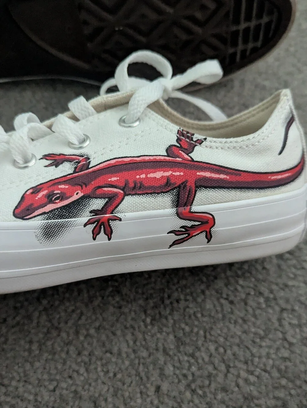 Youth Lizard Converse Sneakers